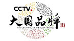 CCTV-1 大國品牌